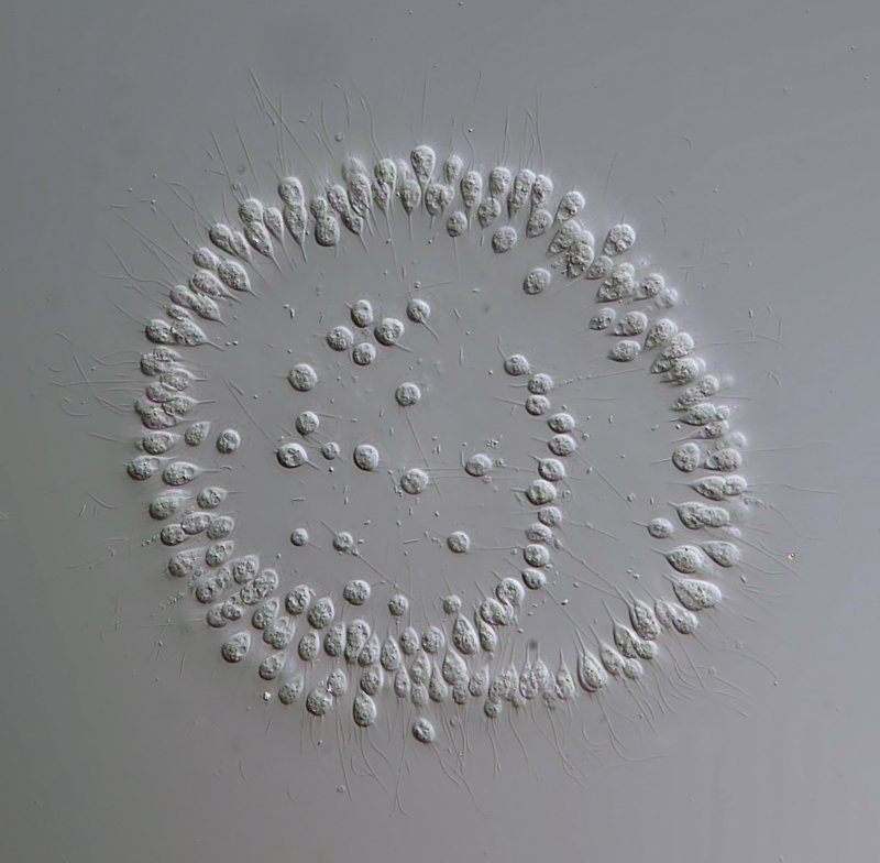 Gestackt aus vier Bildern