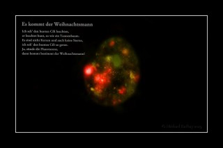 Frontonia_i4a3215_2019-12-22aa - Kopie.jpg