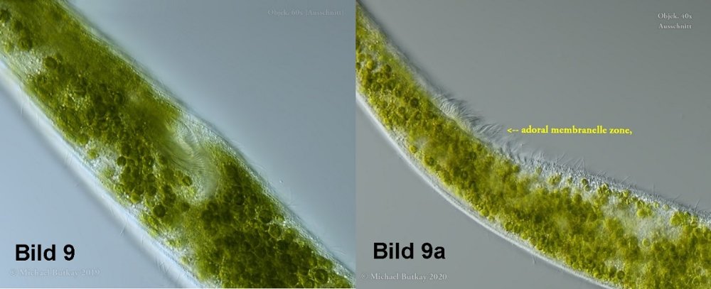 Bild 9-9a-1.jpg