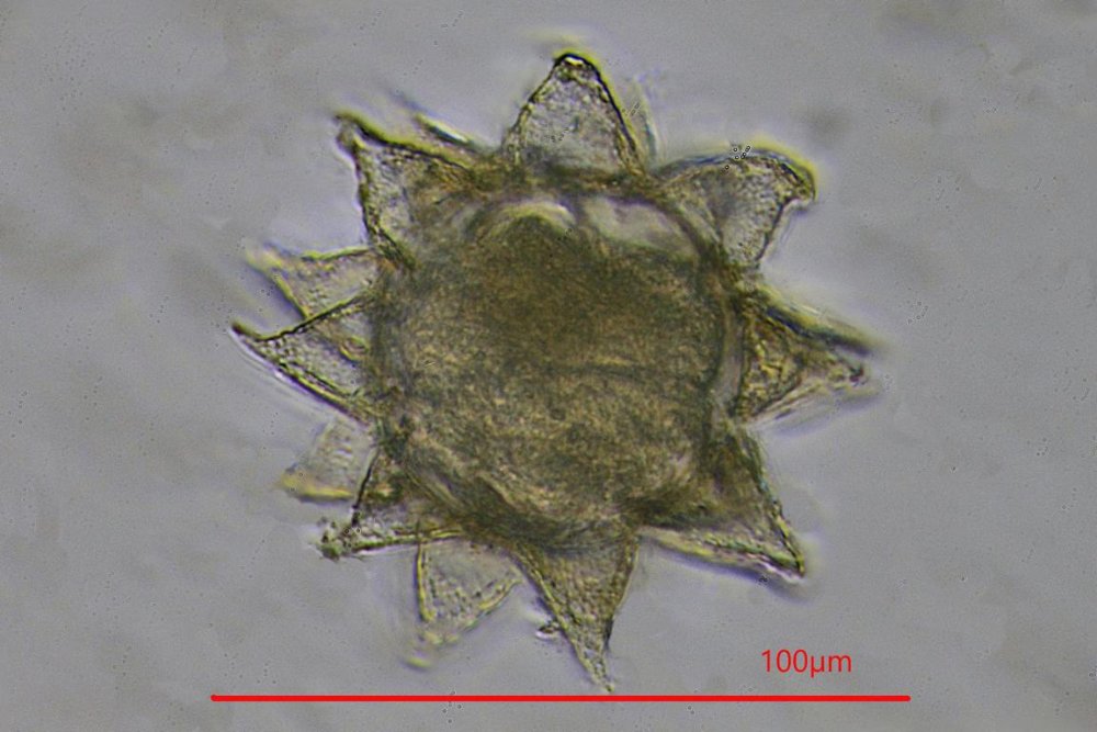 K1024_K1600_Affinity 35-42 Kopie.JPG