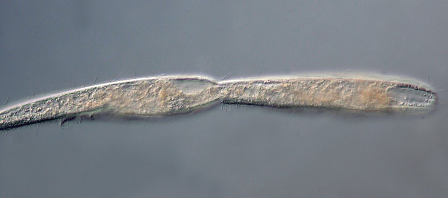 T001.jpg