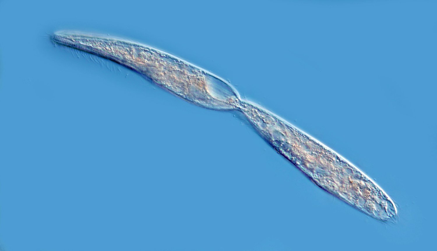 T003.jpg