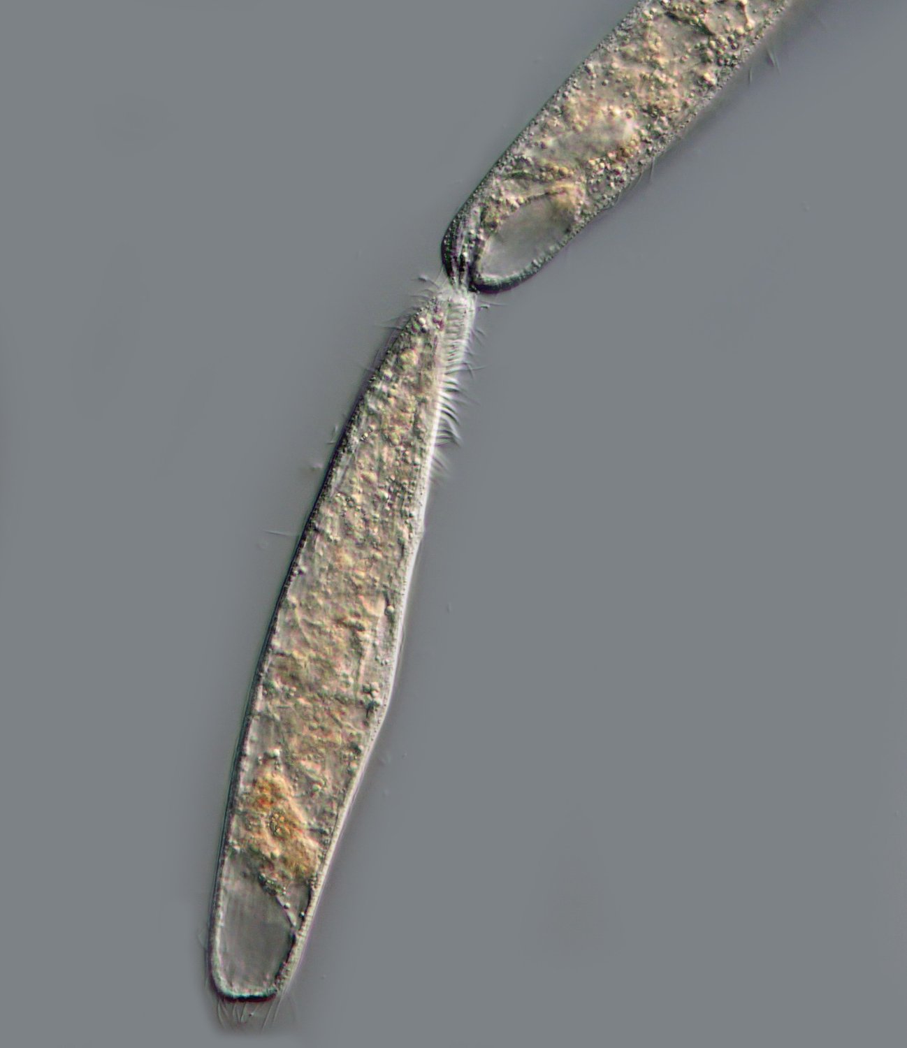 T006.jpg